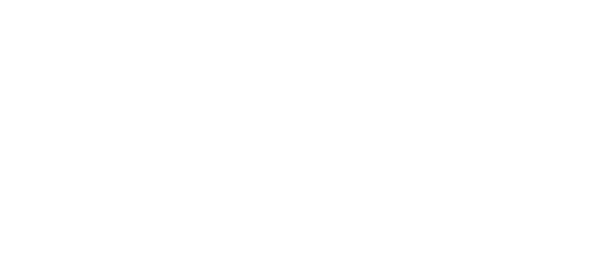 Nassro Sicherheitstechnik Logo